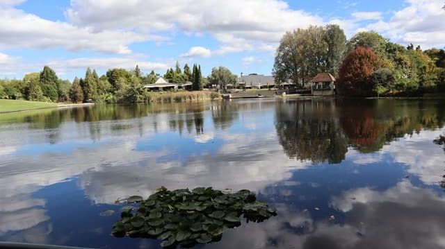 Discover Hamilton Gardens: A Must-Visit Attraction in Hamilton, New Zealand
